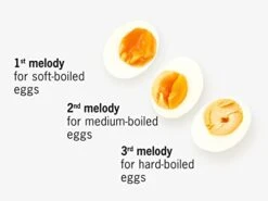 Western BeepEgg, Singing And Floating Egg Timer For Boiling Perfect Soft, Medium Or Hard Eggs, Plays 3 Melodies For 3 Degree Of Hardness, A004689 -KitchenAid Shop 31AEFaRzZwL