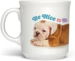 DRAGGIN Genuine Fred SAY ANYTHING MUG, 16 Ounces, White 14 DRAGGIN Genuine Fred SAY ANYTHING MUG, 16 Ounces, White -KitchenAid Shop 31KDSR4B8QL. AC