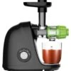 GENERIC Cold Press Slow Masticating Juicer - Slow Juicer Machines For Fruits Vegetables With 2-Speed Modes (Black)
