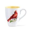 Dean Crouser Spring Cardinal Watercolor Yellow 16 Ounce Glossy Ceramic Stoneware Bird Mug With Easy Grip Handle -KitchenAid Shop 31gGkWpVhzL