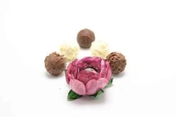 Handmade Paper Truffle Wrappers, Truffle Liners, Truffle Cups For Baby Shower Bridal Shower Birthday Party Wedding - Pack Of 24 (Peony Dusty Rose) -KitchenAid Shop 31gO6pD8qmL