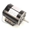 Robot Coupe R239 Motor R2 2 Robot Coupe R239 Motor R2 -KitchenAid Shop 410KP6epxpL