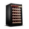 QYTECbx Freestanding Wine Cellars For 28 Pieces Wine Refrigerator 65L Adjustable Thermostat Glass Door Wine Champagne Storage -KitchenAid Shop 410mJHunJ7L