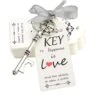 52pcs Skeleton Key Bottle Opener Wedding Favors For Guests Personalized Souvenir Set With Thank You Gift Cards And Ribbons For Wedding Bridal Shower Party Favors(Antique Silver)