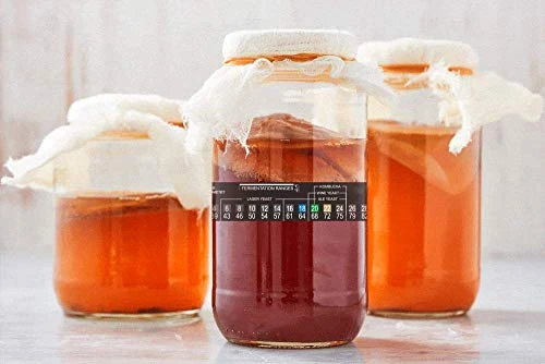 5 Pack Stick On Thermometer For Home Brew 2C To 36C Beer Spirits Wine Temperature 4 5 Pack Stick On Thermometer For Home Brew 2C To 36C Beer Spirits Wine Temperature - Image 2