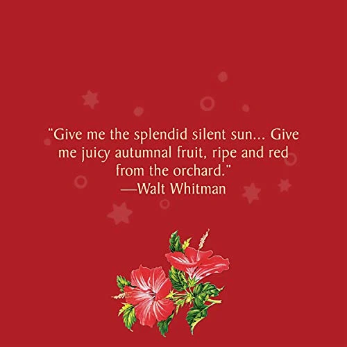 Celestial Seasonings® Hibiscus Tea, Red Zinger Herbal Tea, Caffeine Free, 20 Tea Bags (Pack Of 6) 7 Celestial Seasonings® Hibiscus Tea, Red Zinger Herbal Tea, Caffeine Free, 20 Tea Bags (Pack Of 6) - Image 5