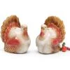 + BURTON Thanksgiving Fall Turkey Salt And Pepper Shaker Set