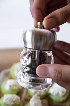 Cole & Mason H307091P Precision Ascot Pepper Mill 100 Mm, Transparent/Silver -KitchenAid Shop 41CXPKT0zHL