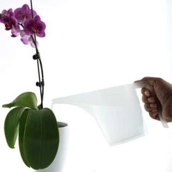 ORPRO Funnel Pitcher, 3.5-Cup,White 10 ORPRO Funnel Pitcher, 3.5-Cup,White -KitchenAid Shop 41EUVyuwz8L