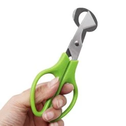 Quail Egg Cutter Scissors Stainless Steel Pigeon Bird Egg Opener Pack Of 12 10 Quail Egg Cutter Scissors Stainless Steel Pigeon Bird Egg Opener Pack Of 12 -KitchenAid Shop 41GLZ64QKXL
