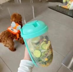 OQKKYY 2022 Keep Fit Salad Meal Shaker Cup, Fresh Salad Cup To Go Container Set, Portable Fruit And Vegetable Salad Cups Container With Fork & Salad Dressing Holder (Blue) -KitchenAid Shop 41Jp08PUAFL. AC