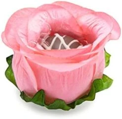 Handmade Paper Truffle Wrappers, Truffle Liners, Truffle Cups For Baby Shower Bridal Shower Birthday Party Wedding - Pack Of 24 (Peony Dusty Rose) -KitchenAid Shop 41KS9PTOBFL. AC