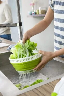 Emsa Collapsible Salad Spinner"Basic" 135.26 Fl. Oz, Green Translucent -KitchenAid Shop 41NJXUKJQqS