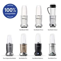 NutriBullet Extractor Blade .60 Lbs, Grey & Flip Top To-Go Lid (set Of 2) -KitchenAid Shop 41QJFRJCoGL