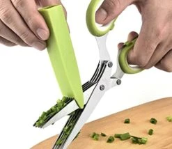 GENERIC 5 Blade Stainless Steel Herb Scissors, Herbs, Vegetables, Rice Paper, Crafts, Lime Green