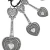 MSRNG SPNS 4PCSET,ZI Hearts Measuring Spoons -KitchenAid Shop 41RzrEAzlbL