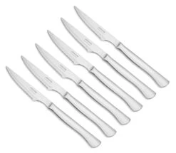 6 Piece Steak Knife Set 4 Inch. Pocket Knife Pack With Pearl Edge For Cutting And Fillet Meat. Monoblock Stainless Steel Blade And Handle. Series Mesa