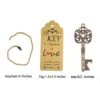 52pcs Vintage Skeleton Key Bottle Opener Wedding Party Favor Guest Souvenir Gift Set With Tag Card And Keychain(Antique Copper) 1 52pcs Vintage Skeleton Key Bottle Opener Wedding Party Favor Guest Souvenir Gift Set With Tag Card And Keychain(Antique Copper) -KitchenAid Shop 41XP9M0XAqL