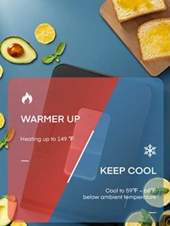 Orthclan 15L Mini Fridge For Bedroom, 110V AC/ 12V DC Portable Thermoelectric Cooler And Warmer Small Refrigerators For Home, Dorm, Office And Car, Skincare, Cosmetic, Beverage, Removable Shelf, Black -KitchenAid Shop 41ZM8qpf3CL