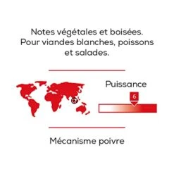 Peugeot Malaysia-75g Sarawak Spice Cube-White Pepper Malaysia, 75g, Clear -KitchenAid Shop 41ZVeNTyxbL