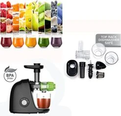 GENERIC Cold Press Slow Masticating Juicer - Slow Juicer Machines For Fruits Vegetables With 2-Speed Modes (Black) -KitchenAid Shop 41a5flnXNYL