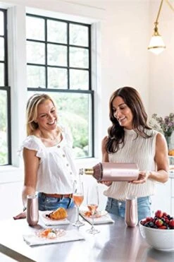 Wine Bottle Chiller- Portable Champagne Insulator- Stainless Steel Wine Cooler Sleeve, Rose Gold -KitchenAid Shop 41cGinQgIXL