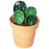 Ceramic Cactus Measuring Spoons And Cups, Cute Measuring Spoons Set In Pot, Cactus Shape Kitchen Decor Small Measuring Spoons (Green) 2 Ceramic Cactus Measuring Spoons And Cups, Cute Measuring Spoons Set In Pot, Cactus Shape Kitchen Decor Small Measuring Spoons (Green) -KitchenAid Shop 41fP69lo7dL