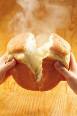 Panasonic : NEW Home Bakery (One Loaf Of Bread Type) SD-BH105-P Pink (Japan Import) -KitchenAid Shop 41fVOsB4oSL