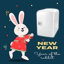 Mini Portable Compact Personal Fridge Cooler, 4 Liter Capacity Chills Six 12 Oz Cans, 100% Freon-Free & Eco Friendly, For Home Outlet & 12V Car Charger - White