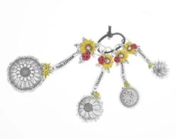 4-Piece Measuring Spoon Set With Color, Ladybugs Silver