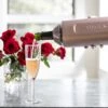 Wine Bottle Chiller- Portable Champagne Insulator- Stainless Steel Wine Cooler Sleeve, Rose Gold 2 Wine Bottle Chiller- Portable Champagne Insulator- Stainless Steel Wine Cooler Sleeve, Rose Gold -KitchenAid Shop 41jbHoD7ftL