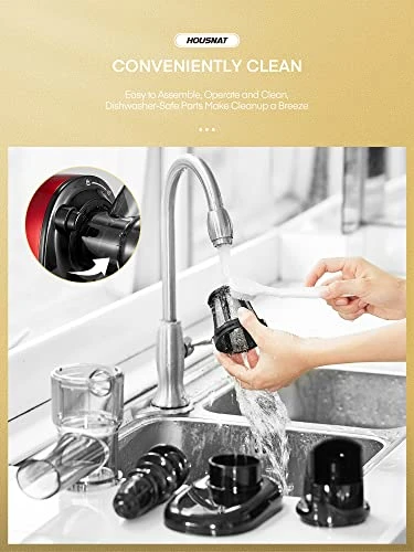 Juicer Machines Vegetable And Fruit, HOUSNAT Slow Masticating Juicer With 2-Speed Modes Easy To Clean, Cold Press Juicer Extractor With Quiet Motor, Reverse Function, Recipes (Passion Red) 5 Juicer Machines Vegetable And Fruit, HOUSNAT Slow Masticating Juicer With 2-Speed Modes Easy To Clean, Cold Press Juicer Extractor With Quiet Motor, Reverse Function, Recipes (Passion Red) - Image 3