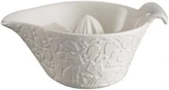 Mason Cash 2001.074 Forest Stoneware Juicer, Cream -KitchenAid Shop 41oP7qIK5eL. AC