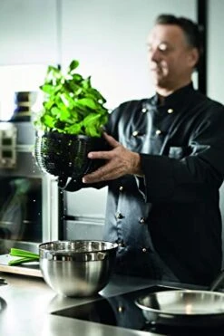 Rosle Stainless Steel Salad-Spinner, Large -KitchenAid Shop 41qKJG19cYL