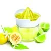 Glass Citrus Juicer With Storage, Yellow