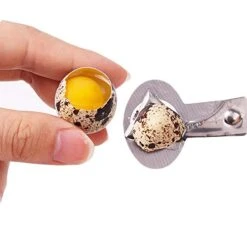 Set Of 6 Stainless Steel Green Quail Egg Shell Cutters Separator Cracker Opener Stainless Steel Blade Tool. 9 Set Of 6 Stainless Steel Green Quail Egg Shell Cutters Separator Cracker Opener Stainless Steel Blade Tool. -KitchenAid Shop 41w381sIJoL