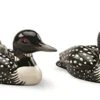 Loons Duck Decoys Salt And Pepper Shakers Ceramic -KitchenAid Shop 41zT7rt1e5L