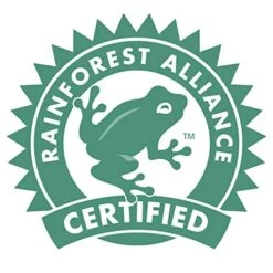 PG Tips Black Tea, Pyramid Tea Bags, 240-Count Box (Pack Of 2) -KitchenAid Shop 5128UR8qliL