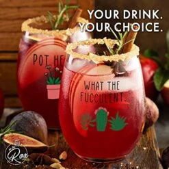 Succulent Plant Cactus Gifts For Women- Set Of 2 Funny Wine Glasses 15oz - Plant Lover Gift Mug - What The Fucculent- Pot Head Crazy - Plant Lady Wine Glass Tumbler - Custom Stemless Wine Glasses -KitchenAid Shop 516sDU31XkL