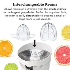 CitriStar CS-1000 Citrus Juicer, Electric Juicer For Oranges And Lemons With Stainless Steel Strainer And Spout White -KitchenAid Shop 5180GdAE59L