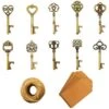 Key Bottle Openers - 50Pcs Vintage Skeleton Key Bottle Opener With Kraft Paper Gift Tags And Twine For Wedding Favors Antique Rustic Party Decoration, 10 Styles (Bronze)