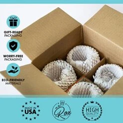 Succulent Plant Cactus Wine Gifts For Women- Set Of 4 Funny Wine Glasses 15oz - Plant Lover Gift Mug - What The Fucculent- Crazy Plant Lady Glass Tumbler - Stemless Glasses Housewarming Gift -KitchenAid Shop 51DUxgOA6uL