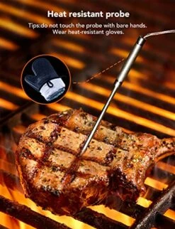 Meat Thermometer 3.5mm Replacement Probes 2-Pack For Models H5181, H5182, H5183, H5184, H5185, H5198 -KitchenAid Shop 51FxRQOMy7L