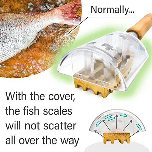 Fish Scale Remover With Box With Brass Serrated Sawtooth And Wooden Handles From Tsubame-Sanjo, Japan【Yamasan】 5 Fish Scale Remover With Box With Brass Serrated Sawtooth And Wooden Handles From Tsubame-Sanjo, Japan【Yamasan】 - Image 3