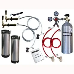 Two Tap Door Mount Homebrew Ball Lock Kegerator (No Drip Tray) Assembled