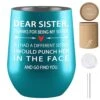 Sisters Gifts From Sister 12oz Tumbler, Birthday Gifts For Sister, Gifts For Sister From Brother - (Find You Sister - Turquoise) -KitchenAid Shop 51Sf8JUyStL