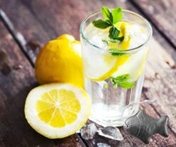 A Natural Source Of Iron To Reduce The Risk Of Iron Deficiency, 2 Packs Iron Fish With Burlap Bag - A Simple And Effective Add Safe Iron To Food Cooking Tool, Ideal For Athletes, Pregnant Women -KitchenAid Shop 51YaEUL3HWL