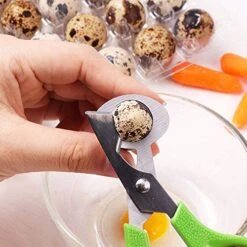 Set Of 6 Stainless Steel Green Quail Egg Shell Cutters Separator Cracker Opener Stainless Steel Blade Tool. 8 Set Of 6 Stainless Steel Green Quail Egg Shell Cutters Separator Cracker Opener Stainless Steel Blade Tool. -KitchenAid Shop 51bXjtETPuL