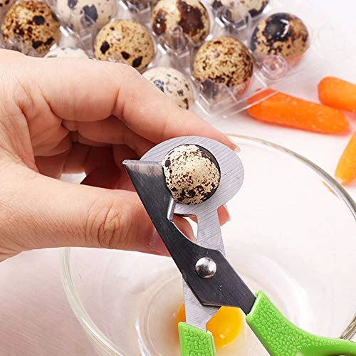 Set Of 6 Stainless Steel Green Quail Egg Shell Cutters Separator Cracker Opener Stainless Steel Blade Tool. 5 Set Of 6 Stainless Steel Green Quail Egg Shell Cutters Separator Cracker Opener Stainless Steel Blade Tool. - Image 3
