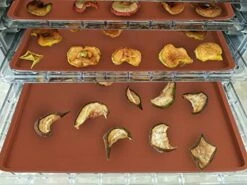 4 PCS 14x14 Inch Silicone Dehydrator Mats With Edge Square Silicone Sheets Non-stick Silicone Fruit Trays Reusable Fruit Leather Trays For Dehydrator High Temperature Resistance Roll Up Trays For Fruits Meat Vegetables Herbs 14 4 PCS 14x14 Inch Silicone Dehydrator Mats With Edge Square Silicone Sheets Non-stick Silicone Fruit Trays Reusable Fruit Leather Trays For Dehydrator High Temperature Resistance Roll Up Trays For Fruits Meat Vegetables Herbs -KitchenAid Shop 51lC1cWlZZL